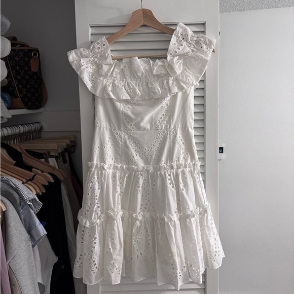 Zara Dresses & Skirts - Romantic Eyelet Ruffle Mini Dress by Zara – XS